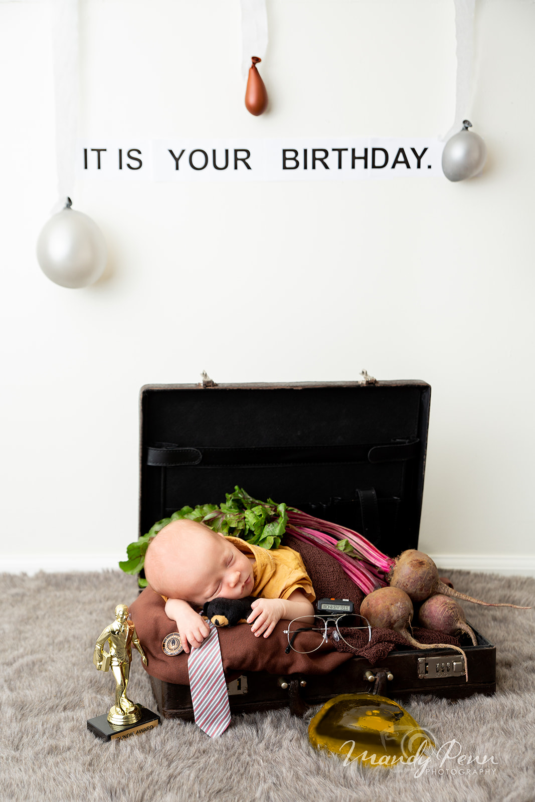 The Office Themed Newborn Shoot | Colorado Newborn Photographer