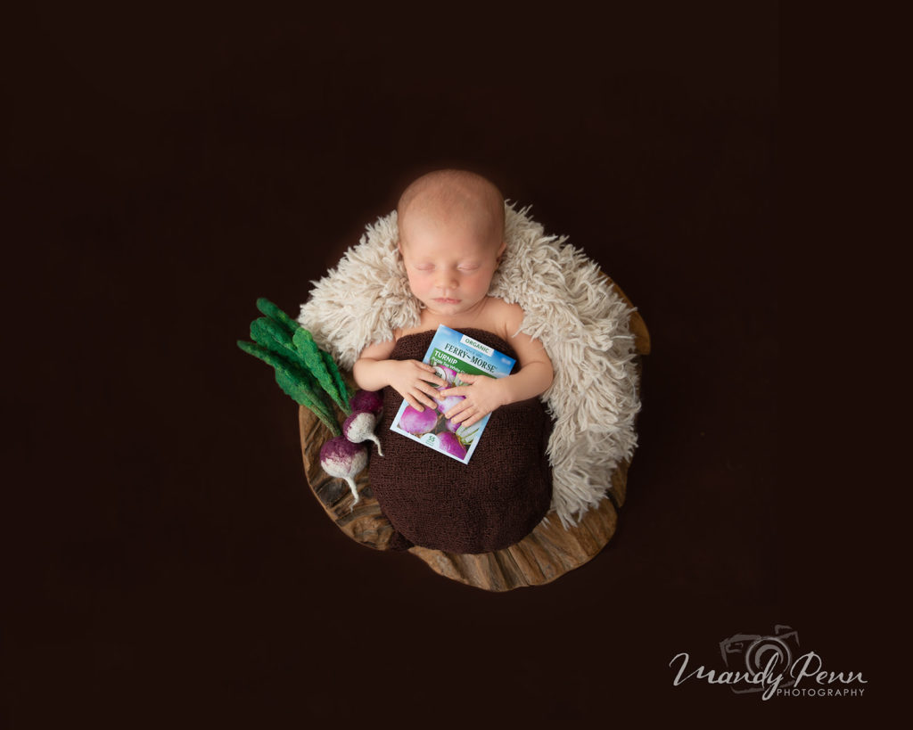 The Office Themed Newborn Shoot | Colorado Newborn Photographer